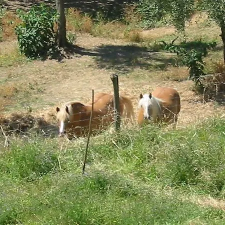 Maison d'hôtes Il Nido Dell'Upupa