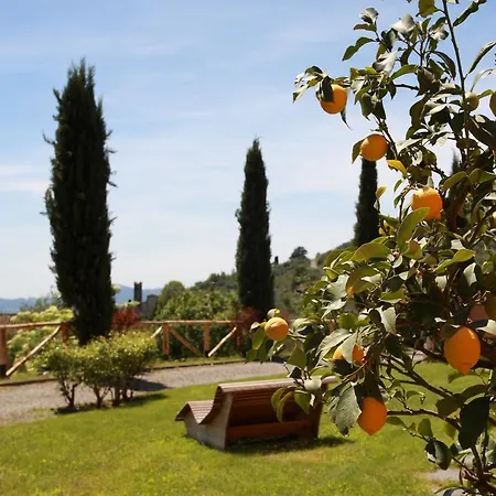 Il Nido Dell'Upupa * Capannori