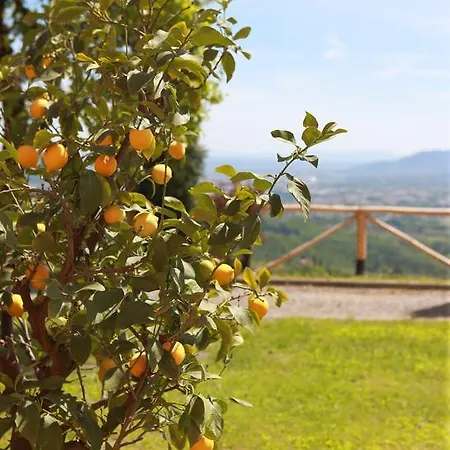 Il Nido Dell'Upupa Maison d'hôtes